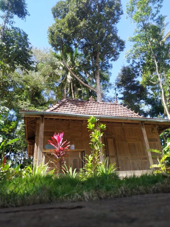 Hotel Omah Kayu Jagalan Magelang Zewnętrze zdjęcie
